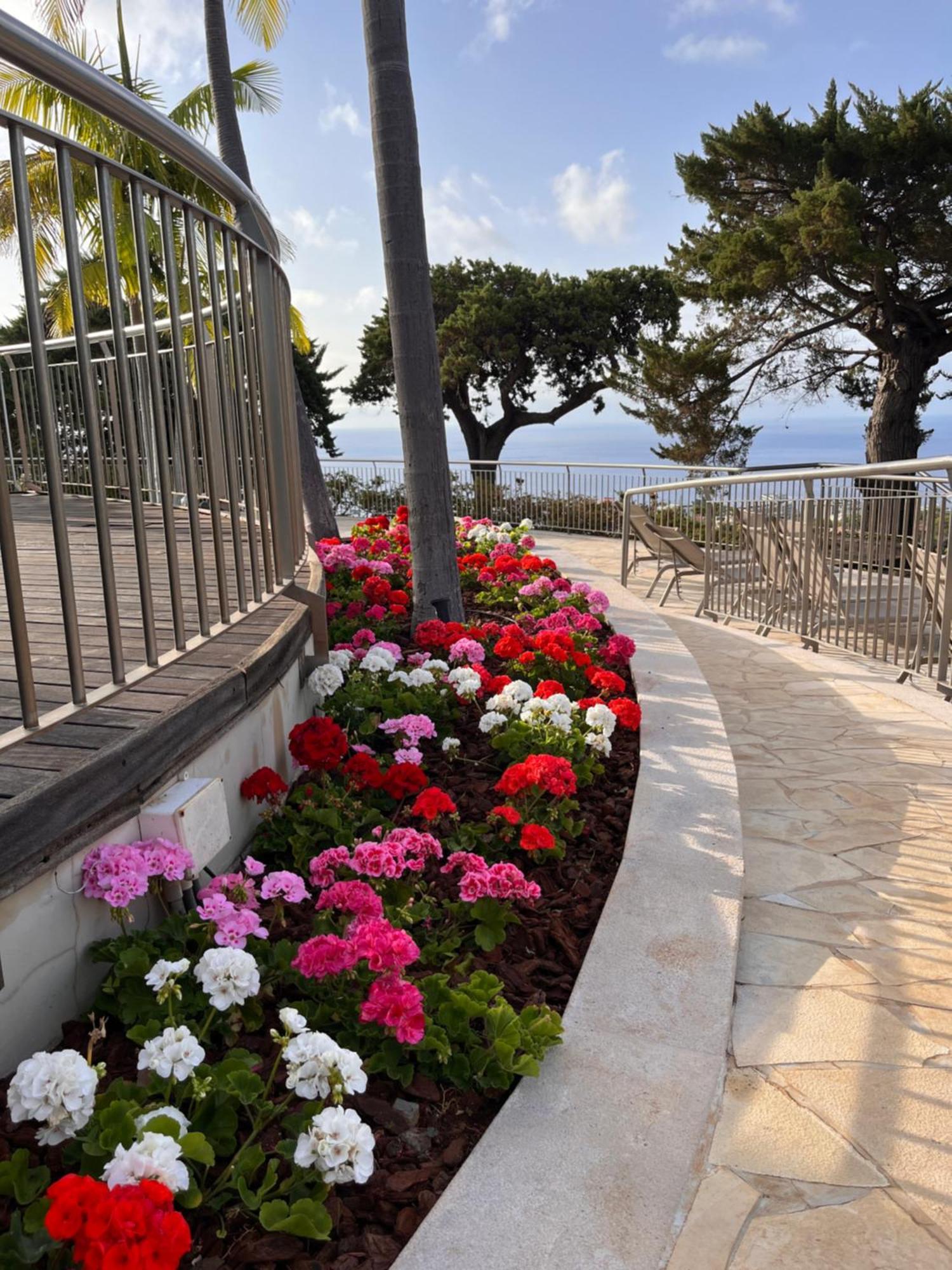 Quinta Funchal Gardens - Adults Only Hotel Bagian luar foto